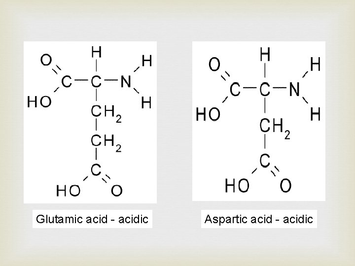 Glutamic acid - acidic Aspartic acid - acidic 