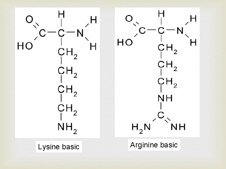 Lysine basic Arginine basic 