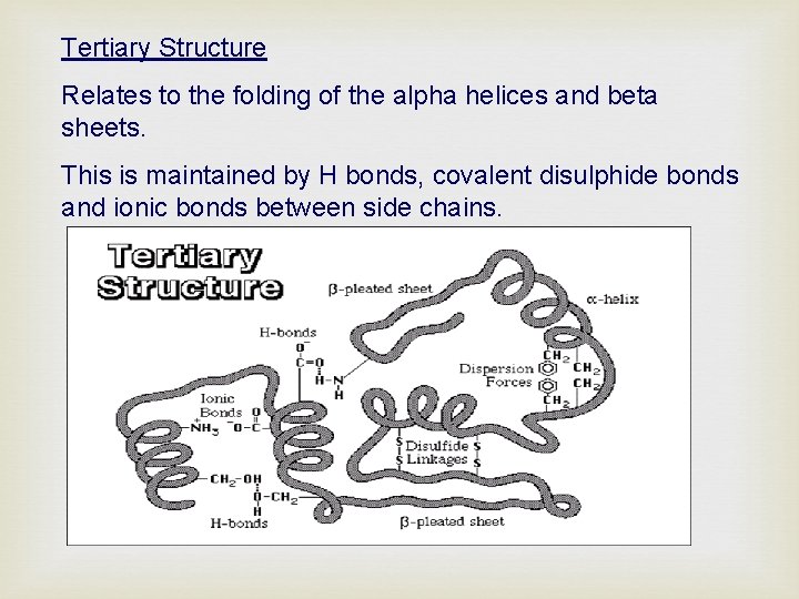 Tertiary Structure Relates to the folding of the alpha helices and beta sheets. This