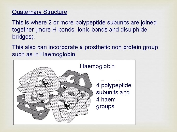 Quaternary Structure This is where 2 or more polypeptide subunits are joined together (more