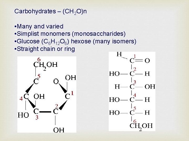Carbohydrates – (CH 2 O)n • Many and varied • Simplist monomers (monosaccharides) •