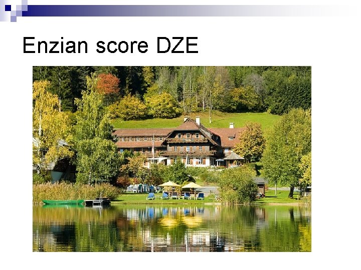 Enzian score DZE 