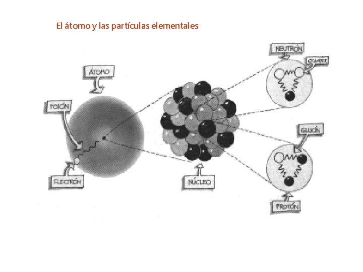 El átomo y las partículas elementales 