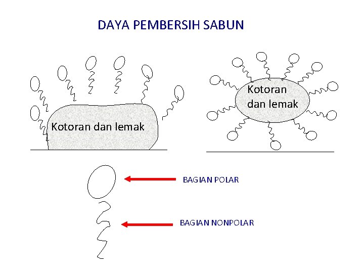 DAYA PEMBERSIH SABUN Kotoran dan lemak BAGIAN POLAR BAGIAN NONPOLAR 