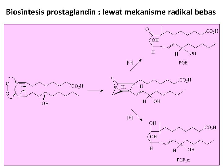 Biosintesis prostaglandin : lewat mekanisme radikal bebas 
