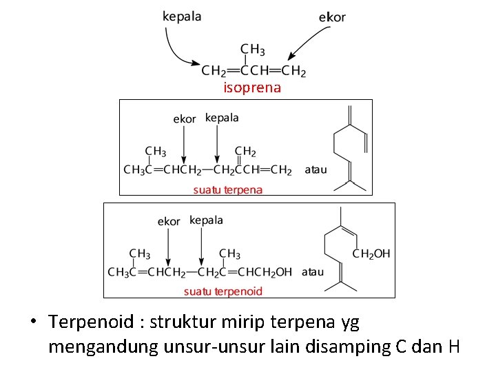 isoprena • Terpenoid : struktur mirip terpena yg mengandung unsur-unsur lain disamping C dan