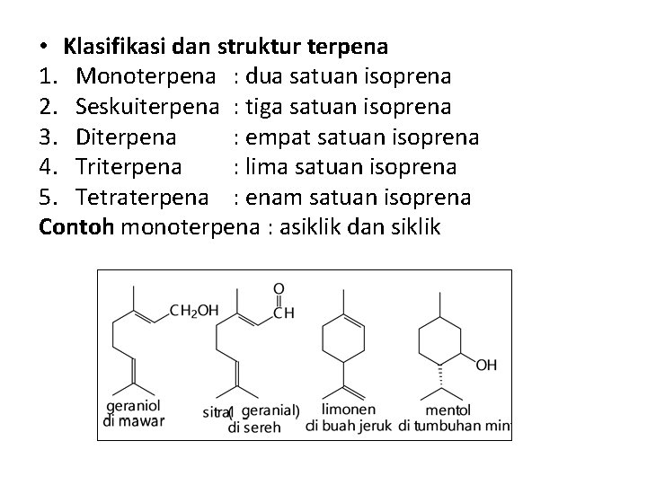  • Klasifikasi dan struktur terpena 1. Monoterpena : dua satuan isoprena 2. Seskuiterpena