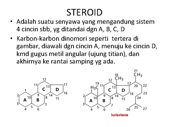 STEROID • Adalah suatu senyawa yang mengandung sistem 4 cincin sbb, yg ditandai dgn