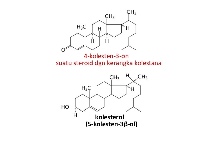 4 -kolesten-3 -on suatu steroid dgn kerangka kolestana kolesterol (5 -kolesten-3β-ol) 