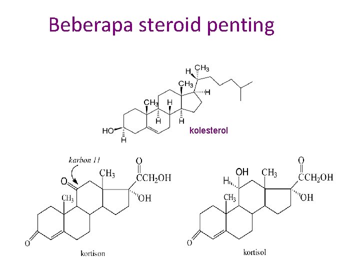 Beberapa steroid penting kolesterol 