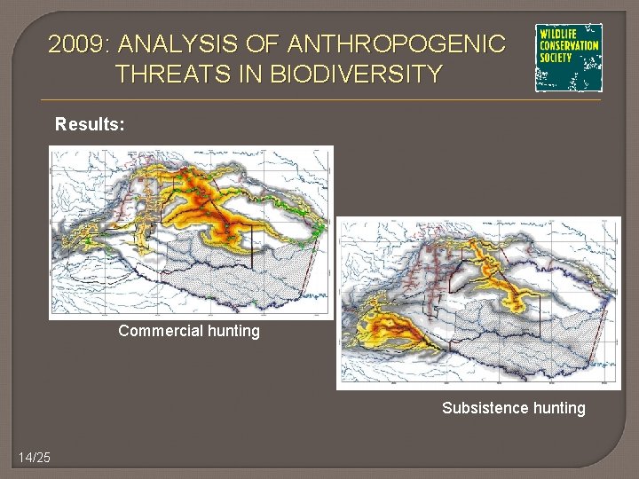 2009: ANALYSIS OF ANTHROPOGENIC THREATS IN BIODIVERSITY Results: Commercial hunting Subsistence hunting 14/25 