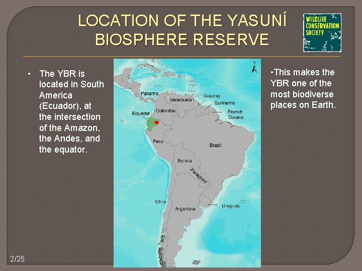 LOCATION OF THE YASUNÍ BIOSPHERE RESERVE • The YBR is located in South America