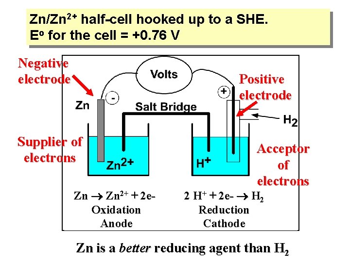 Zn/Zn 2+ half-cell hooked up to a SHE. Eo for the cell = +0.