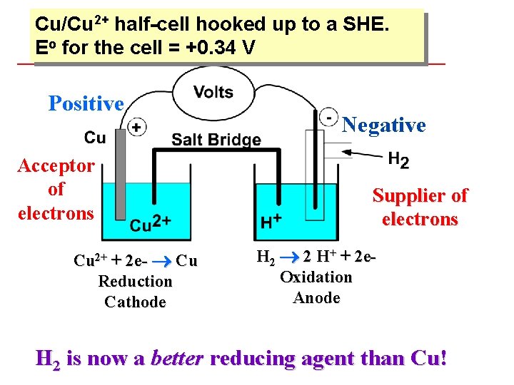 Cu/Cu 2+ half-cell hooked up to a SHE. Eo for the cell = +0.