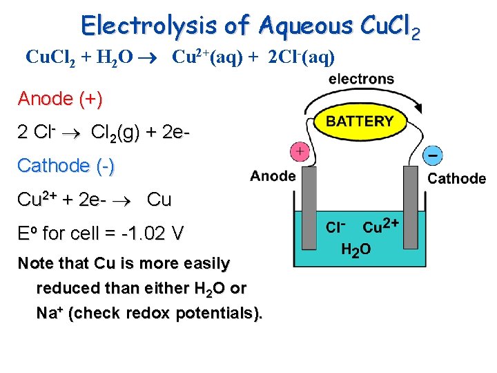 Electrolysis of Aqueous Cu. Cl 2 + H 2 O Cu 2+(aq) + 2