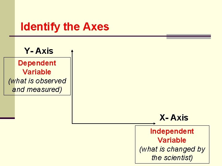 Identify the Axes Y- Axis Dependent Variable (what is observed and measured) X- Axis