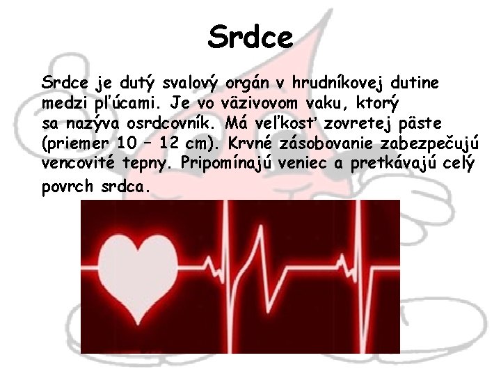 Srdce je dutý svalový orgán v hrudníkovej dutine medzi pľúcami. Je vo väzivovom vaku,