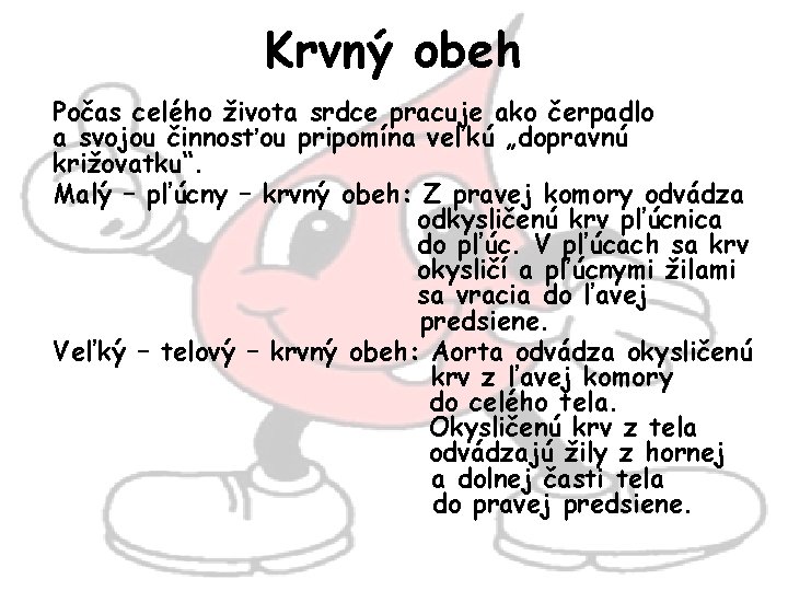 Krvný obeh Počas celého života srdce pracuje ako čerpadlo a svojou činnosťou pripomína veľkú