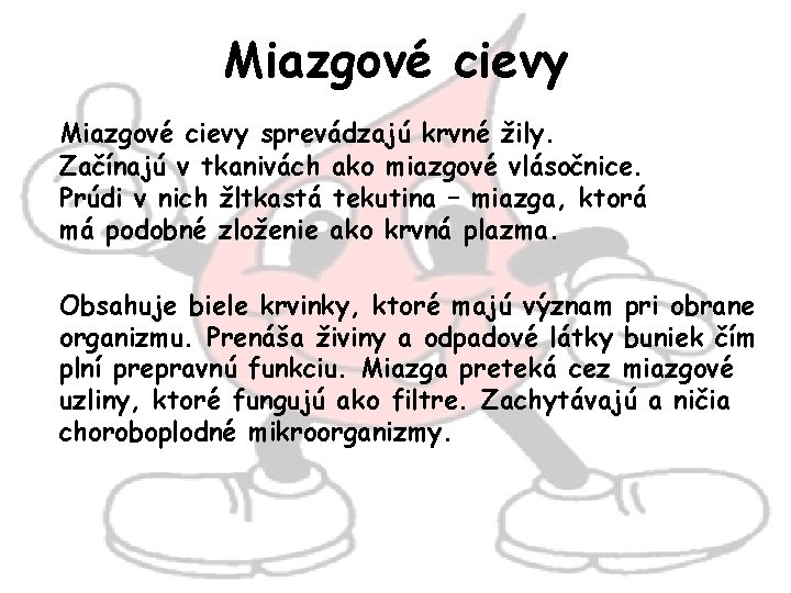 Miazgové cievy sprevádzajú krvné žily. Začínajú v tkanivách ako miazgové vlásočnice. Prúdi v nich