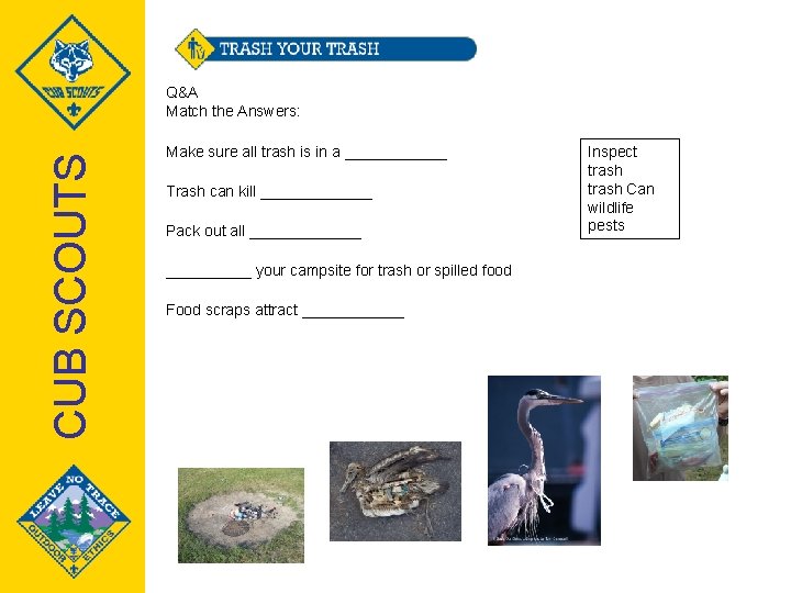 CUB SCOUTS Q&A Match the Answers: Make sure all trash is in a ______