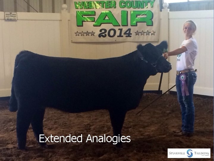 Extended Analogies 