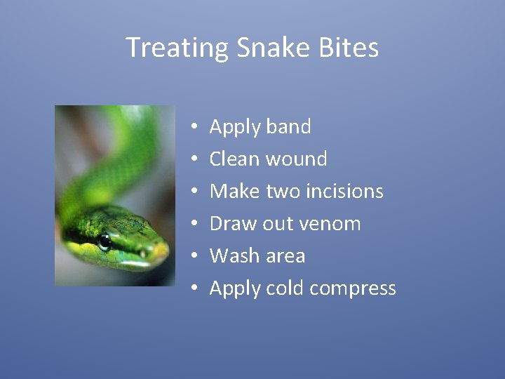 Treating Snake Bites • • • Apply band Clean wound Make two incisions Draw