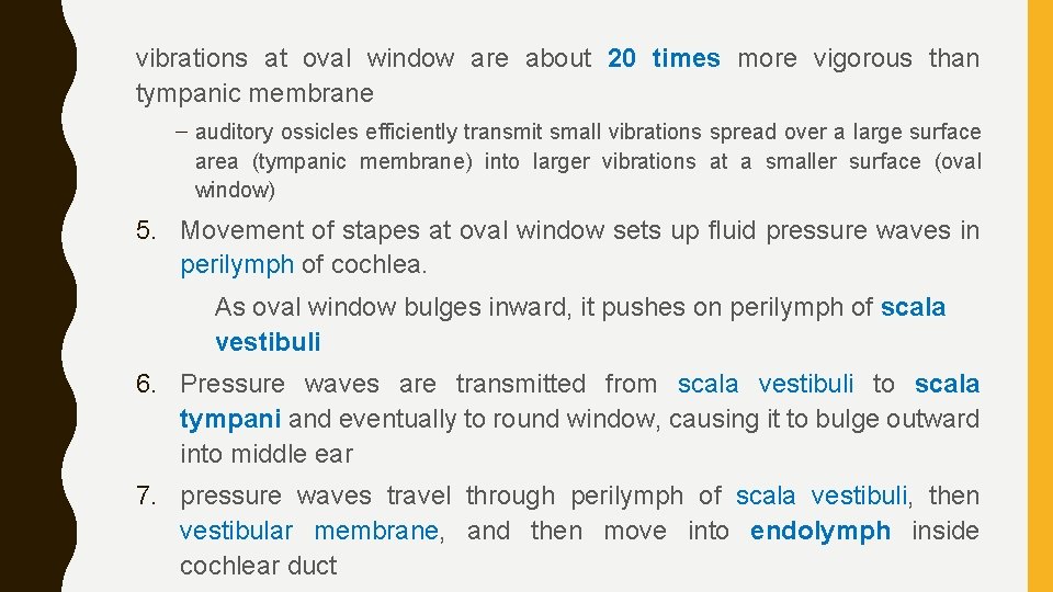vibrations at oval window are about 20 times more vigorous than tympanic membrane –