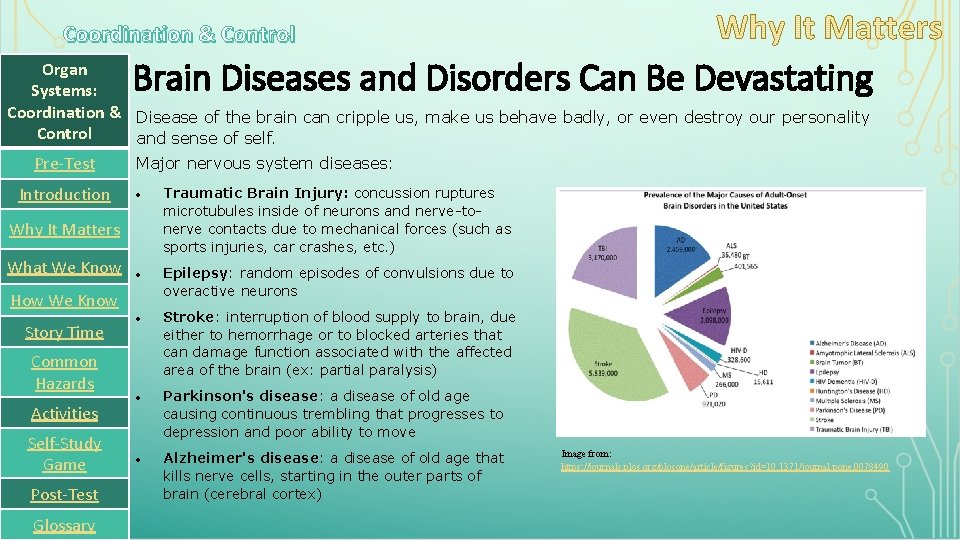 Coordination & Control Brain Diseases and Disorders Can Be Devastating Organ Systems: Coordination &