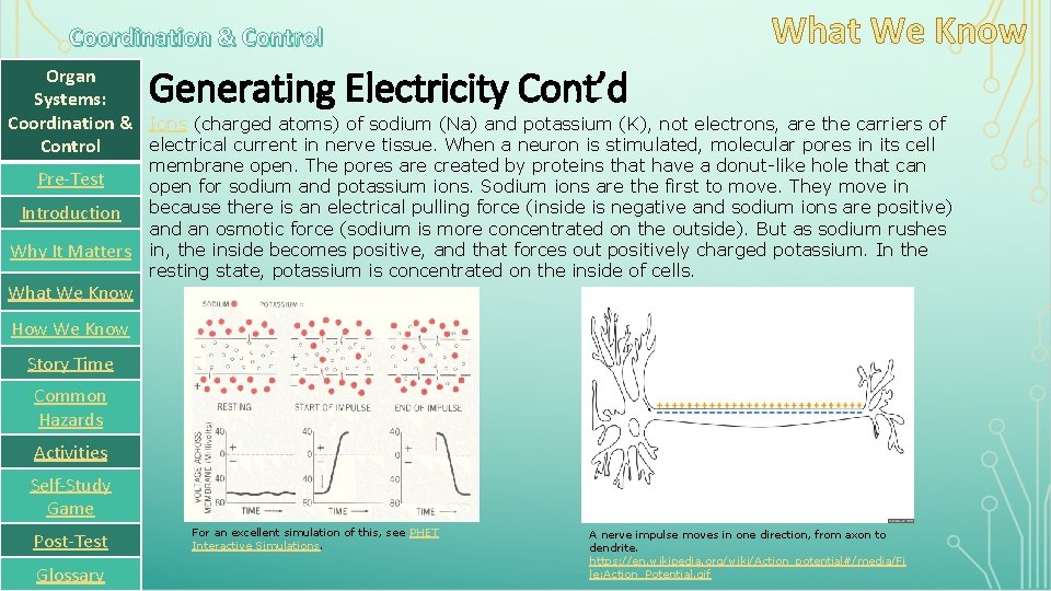 Coordination & Control Generating Electricity Cont’d Organ Systems: Coordination & Ions (charged atoms) of
