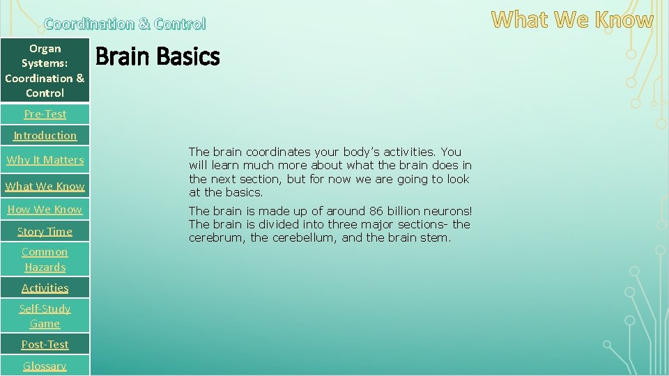 Coordination & Control Organ Systems: Coordination & Control Brain Basics Pre-Test Introduction Why It