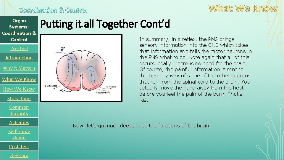 Coordination & Control Organ Systems: Coordination & Control Pre-Test Introduction Why It Matters What