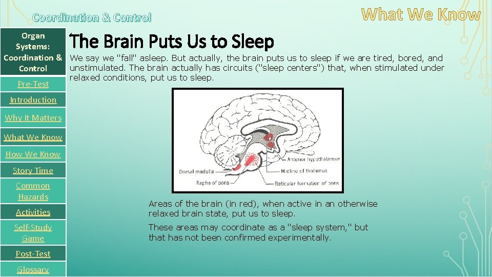Coordination & Control The Brain Puts Us to Sleep Organ Systems: Coordination & We