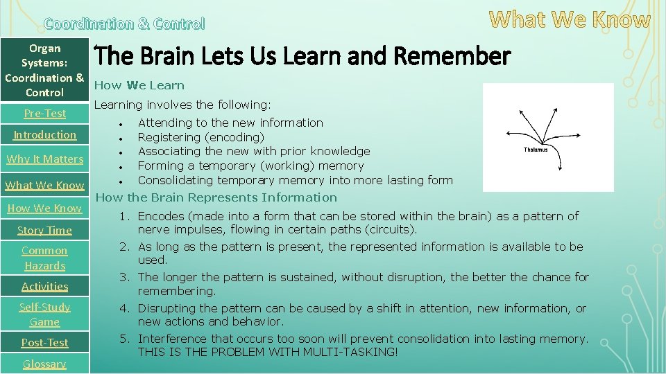 Coordination & Control The Brain Lets Us Learn and Remember Organ Systems: Coordination &
