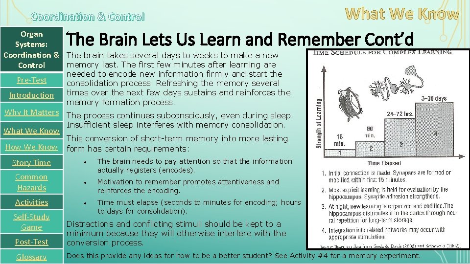 Coordination & Control The Brain Lets Us Learn and Remember Cont’d Organ Systems: Coordination