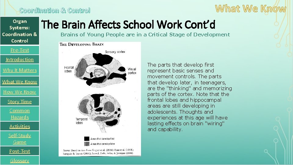 Coordination & Control Organ Systems: Coordination & Control The Brain Affects School Work Cont’d