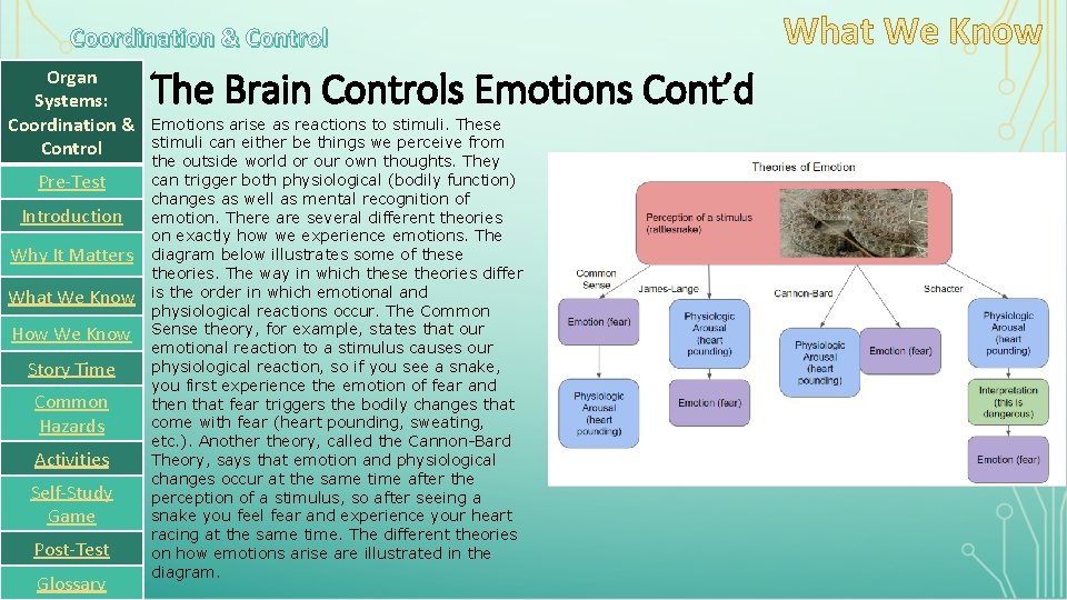 Coordination & Control Organ Systems: Coordination & Control Pre-Test Introduction Why It Matters What