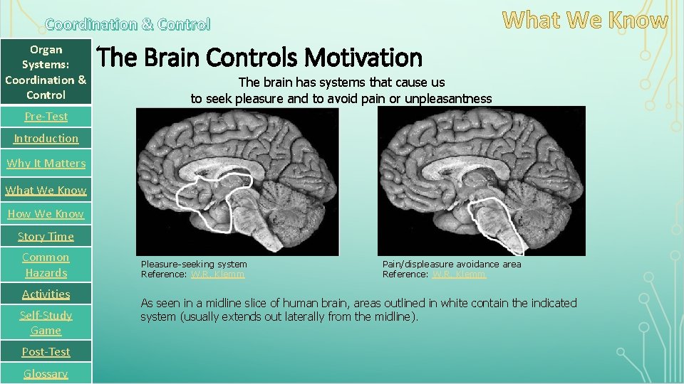 Coordination & Control Organ Systems: Coordination & Control The Brain Controls Motivation The brain
