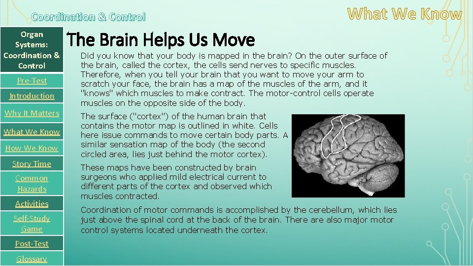 Coordination & Control Organ Systems: Coordination & Control Pre-Test Introduction Why It Matters What