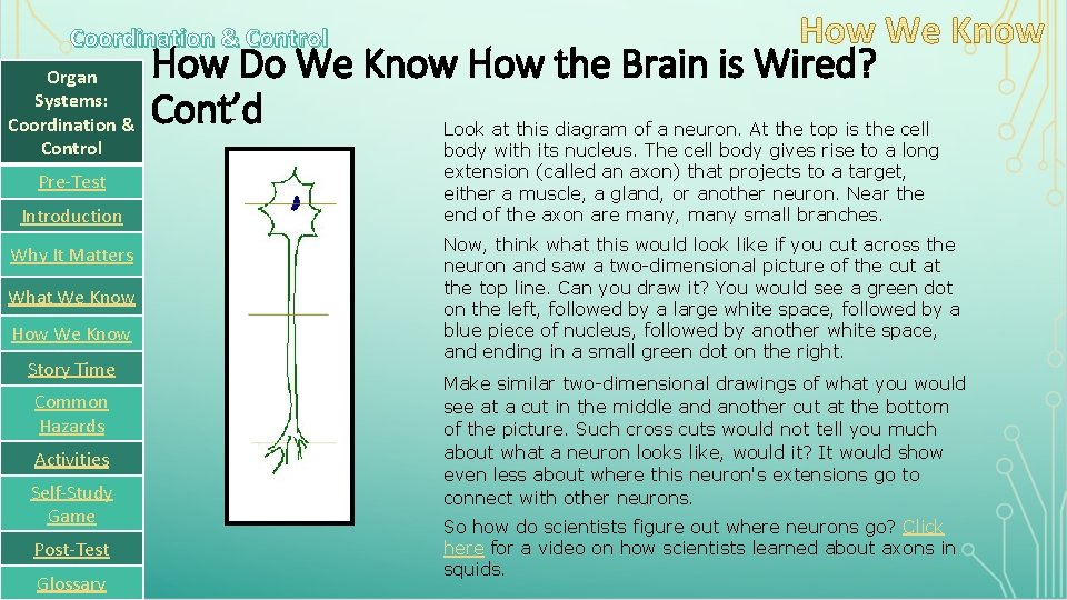 Coordination & Control Organ Systems: Coordination & Control Pre-Test Introduction Why It Matters What