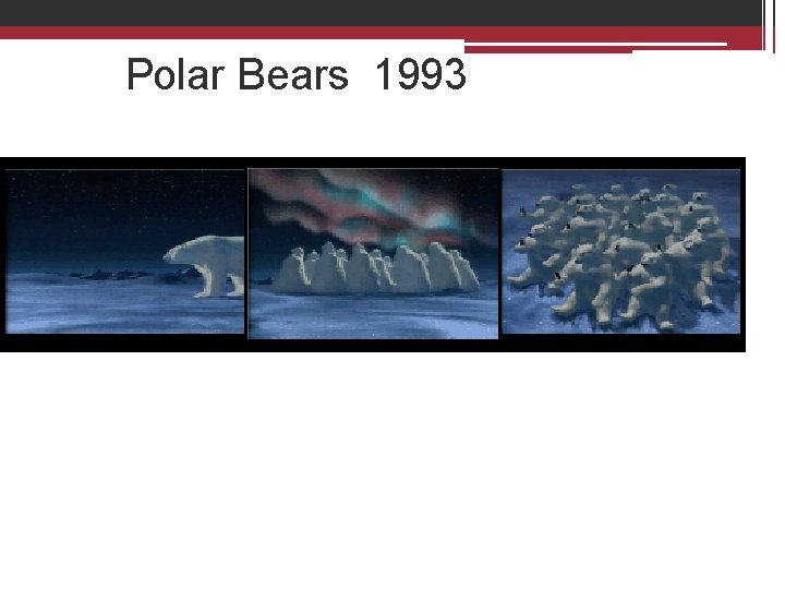 Polar Bears 1993 