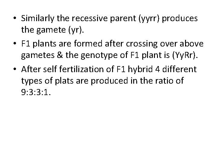  • Similarly the recessive parent (yyrr) produces the gamete (yr). • F 1