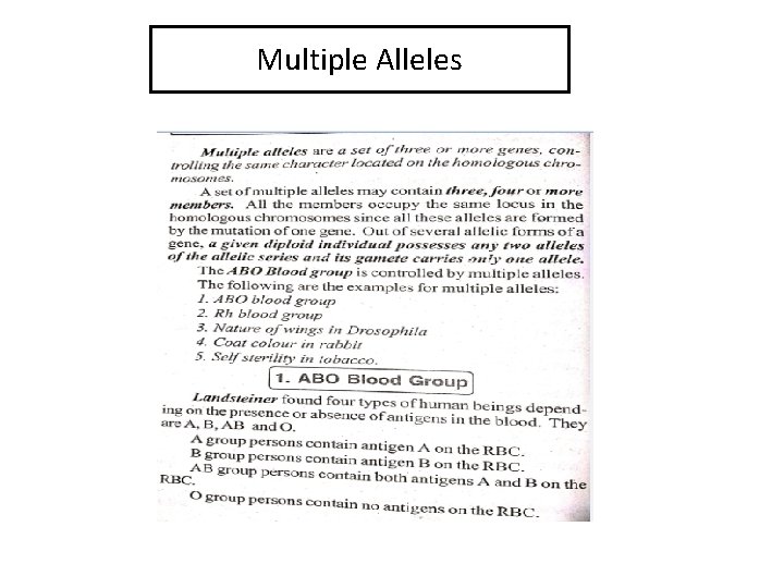 Multiple Alleles 