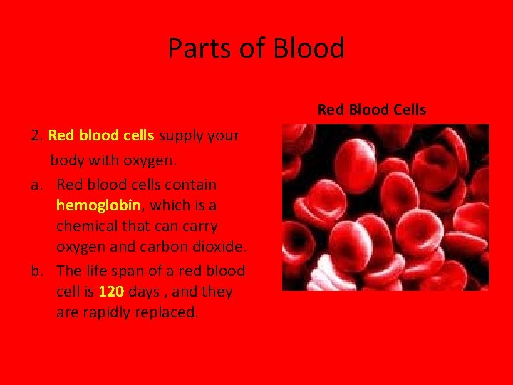 Parts of Blood Red Blood Cells 2. Red blood cells supply your body with