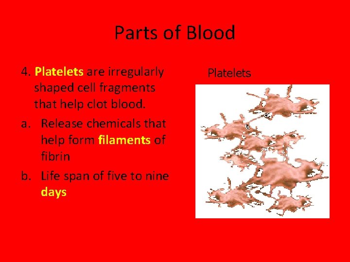 Parts of Blood 4. Platelets are irregularly shaped cell fragments that help clot blood.