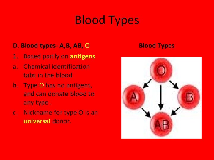 Blood Types D. Blood types- A, B, AB, O 1. Based partly on antigens