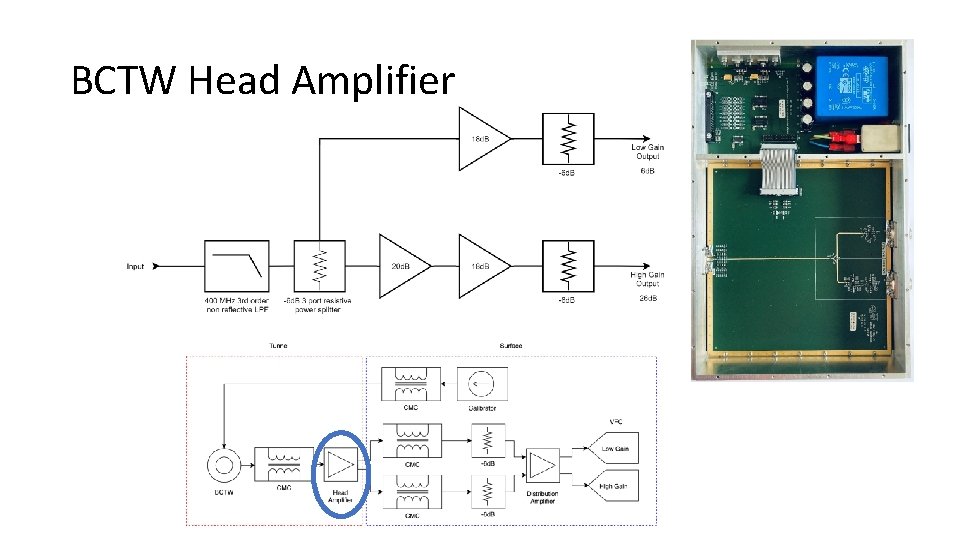 BCTW Head Amplifier 