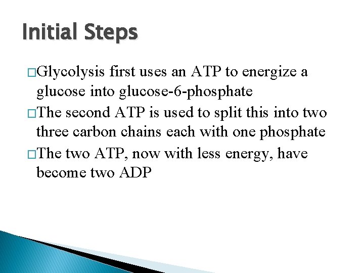 Initial Steps �Glycolysis first uses an ATP to energize a glucose into glucose-6 -phosphate