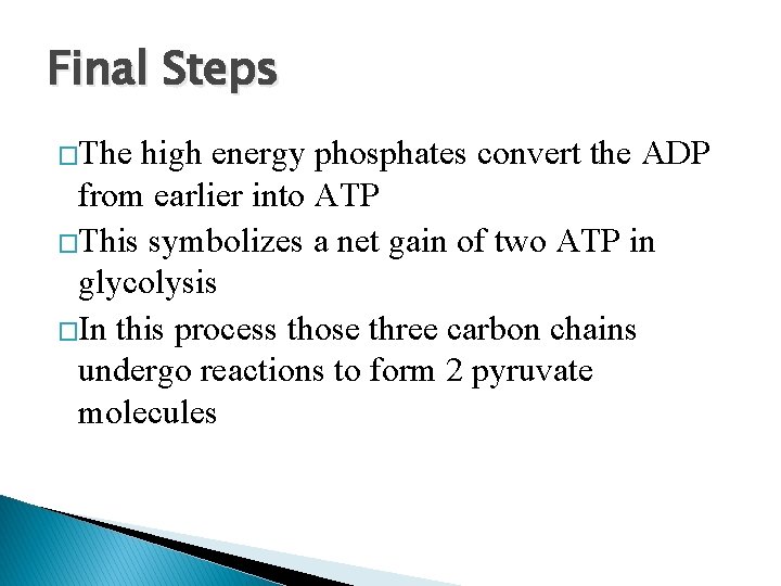 Final Steps �The high energy phosphates convert the ADP from earlier into ATP �This