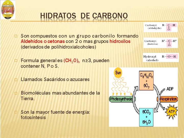 HIDRATOS DE CARBONO � Son compuestos con un grupo carbonilo formando Aldehídos o cetonas