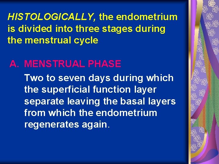 HISTOLOGICALLY, the endometrium is divided into three stages during the menstrual cycle A. MENSTRUAL